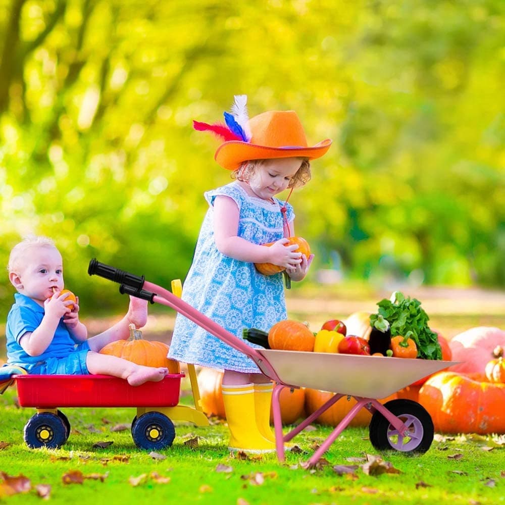 Pink Flamingos Kids Wheelbarrow details
